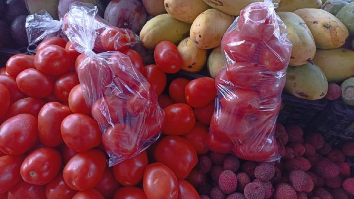 Baja precio el tomate en Veracruz puerto hasta en 70%; esto cuesta ahora