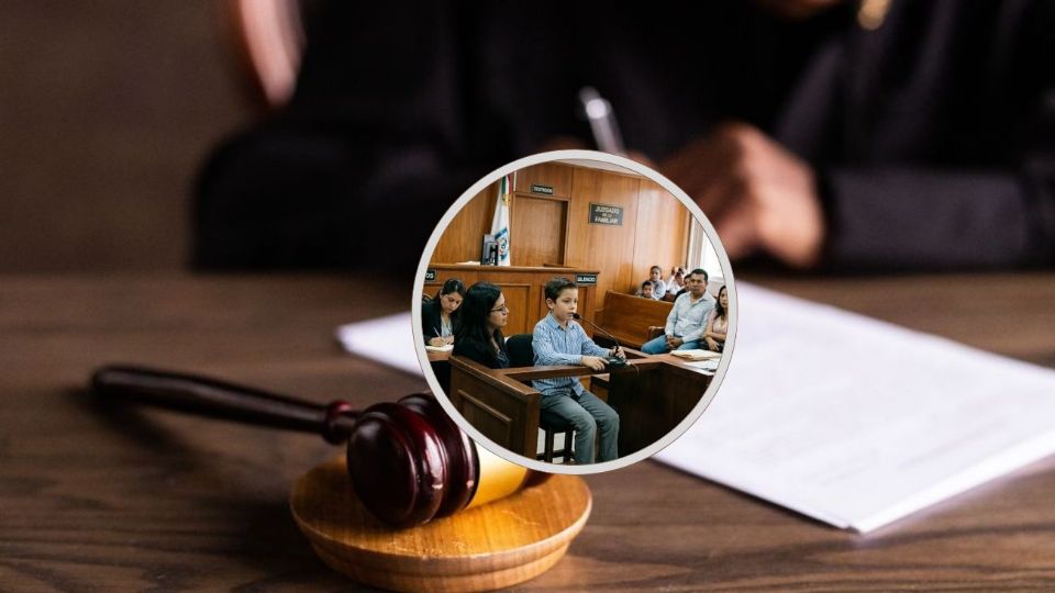 El tribunal recordó que debe prevalecer el interés superior de la niñez, principio que obliga a que todas las decisiones judiciales sobre menores prioricen su bienestar. Por ello, los jueces pueden ordenar pruebas de oficio, incluso si las partes no las solicitan, cuando sean necesarias para esclarecer los hechos.