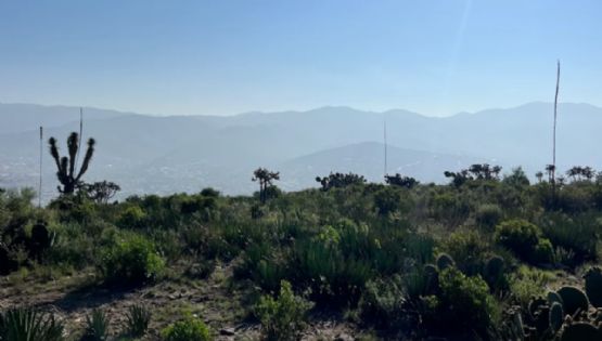 Mineral de la Reforma contempla mantener proyecto en zona de Cubitos