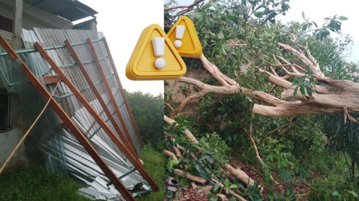 Tormenta en Teocelo dejó afectaciones en viviendas, escuelas y caminos; esto sabemos