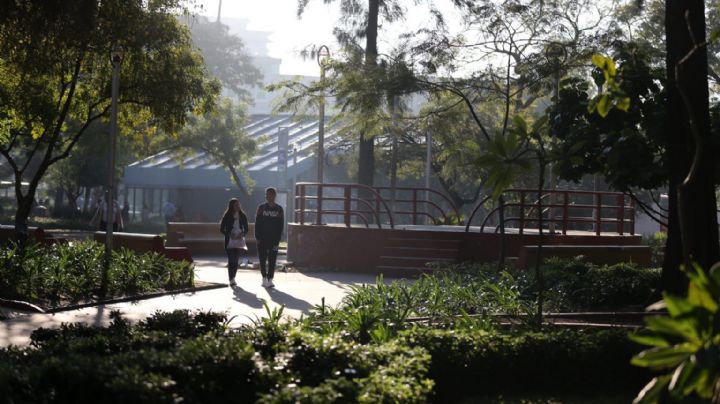 Remodelación del Parque Rojo de Guadalajara: retrasos, sobrecostos y desplazamiento de comerciantes