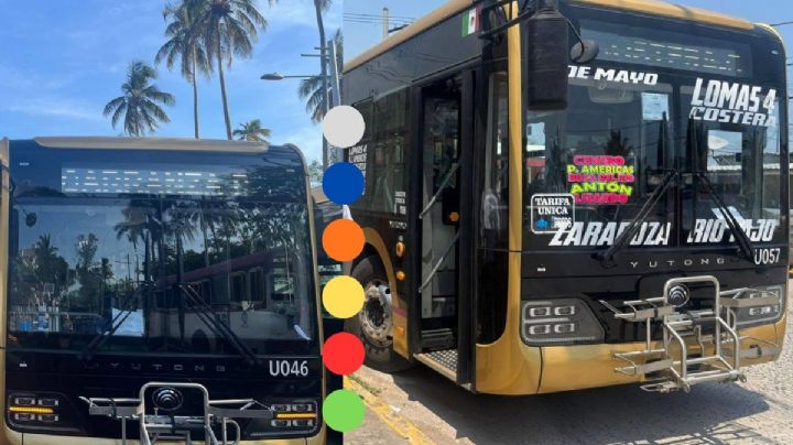 Autobuses Ulúa en Veracruz - Boca del Río: estas son las rutas por colores