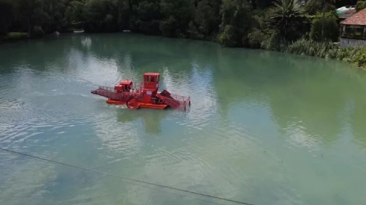 Visita otra vez la hermosa presa Azul en Huasca; queda libre de plaga de lirio acuático