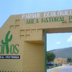 Habrá marcha en Pachuca este viernes para "salvar el Cerro de Cubitos"