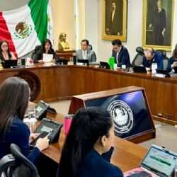 PVEM va por cambiar una letra en el Código Penal y reformar una ley que pronto quedará obsoleta