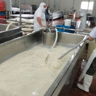Productores lecheros de Tulancingo denuncian “huachileche”