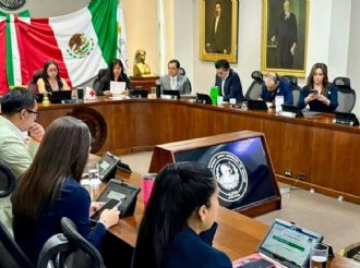 Diputados del PVEM: entre cambios gramaticales y leyes con fecha de caducidad