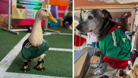 En CDMX es el pato “Merlín”. En Celaya es el perrito “Negrito” la mascota del Mundial de Fútbol