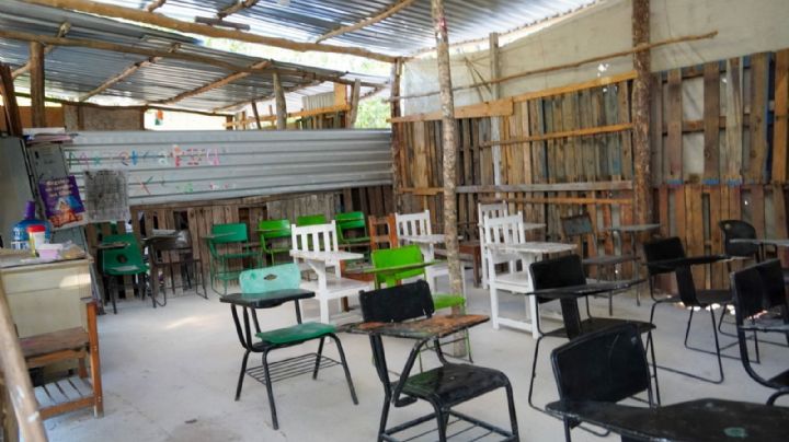 Por paro, CNTE deja sin clases a 261, 414 niños en Chiapas