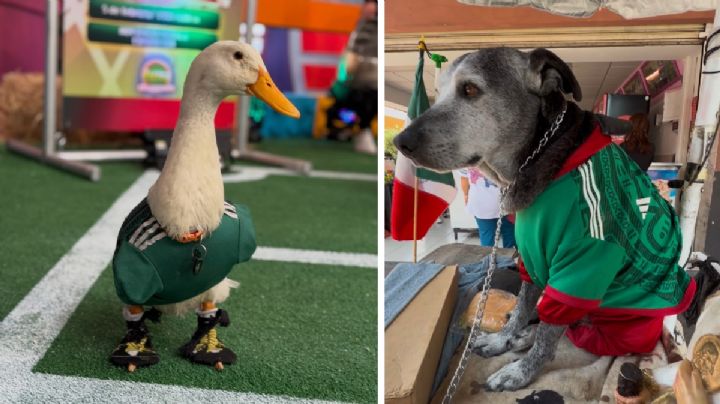 En CDMX es el pato “Merlín”. En Celaya es el perrito “Negrito” la mascota del Mundial de Fútbol