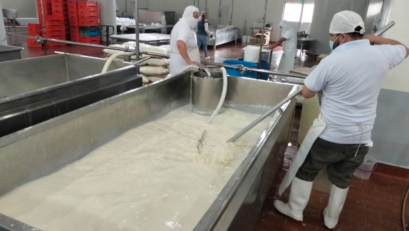 Productores lecheros de Tulancingo denuncian “huachileche”