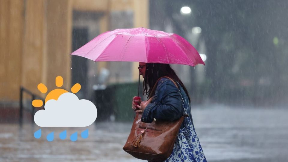 ¿Cómo estará el clima en Xalapa este viernes 19 de junio?