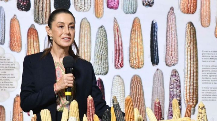 La 4T exige soberanía alimentaria, pero olvida a quienes la hacen posible