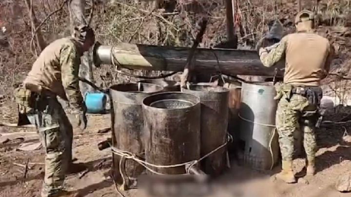 Desmantelan narcolaboratorio en Los Cedritos, valuado en más de 175 millones de pesos