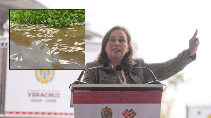 Alcoholera, principal sospechosa de muerte masiva de peces en la Cuenca del Papaloapan: Nahle