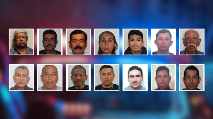 Ellos y ella son los 14 veracruzanos localizados sin vida en Jalisco