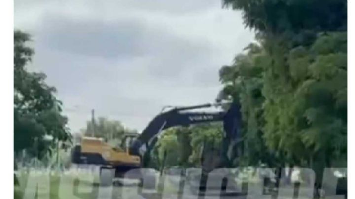 Tren de Pasajeros Celaya: Avanzan obras rumbo a la Alameda