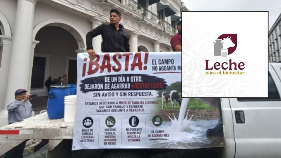 Falta de compra a productores lecheros de Veracruz se investigará: Sheinbaum