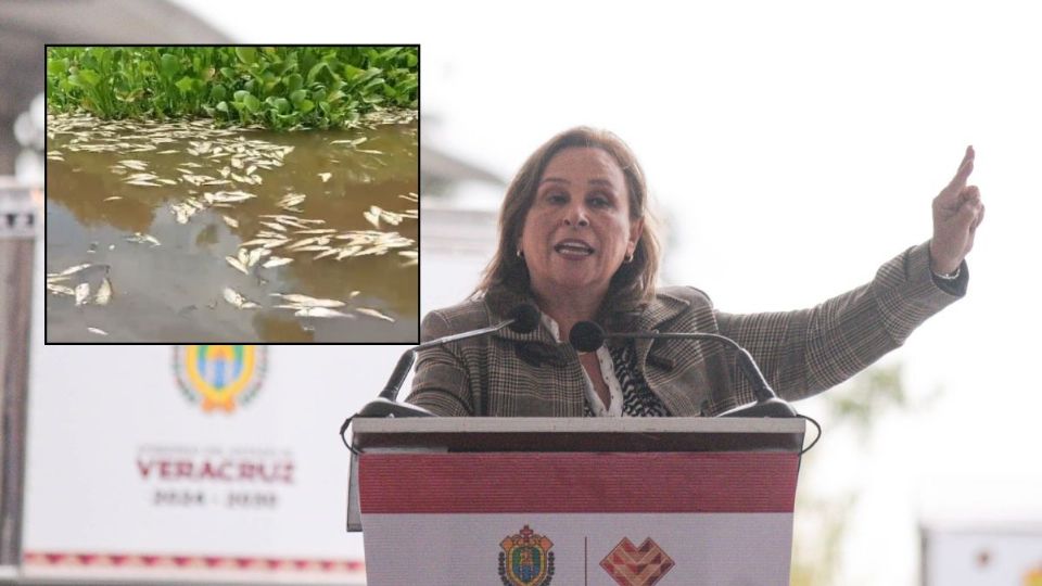 Rocío Nahle advierte sanciones contra alcoholera por ecocidio en la Cuenca del Papaloapan