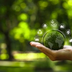 Protege tu medio ambiente a través del amparo