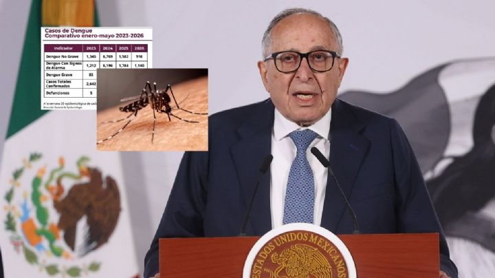 VIDEO: Destacan en mañanera un muerto por dengue en Veracruz entre enero y mayo de 2026