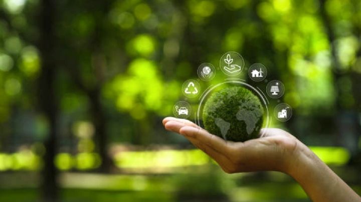 Protege tu medio ambiente a través del amparo