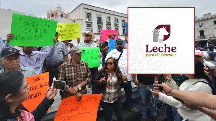Tras llamado de Sheinbaum, Leche para el Bienestar atiende a productores de Veracruz