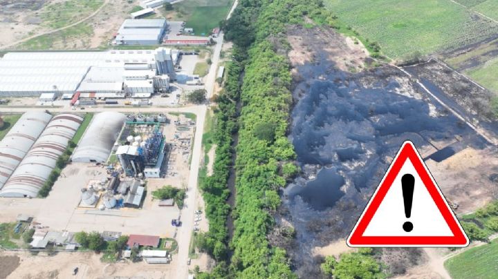 Profepa anuncia medidas a alcoholera acusada por muerte masiva de peces en la Cuenca del Papaloapan