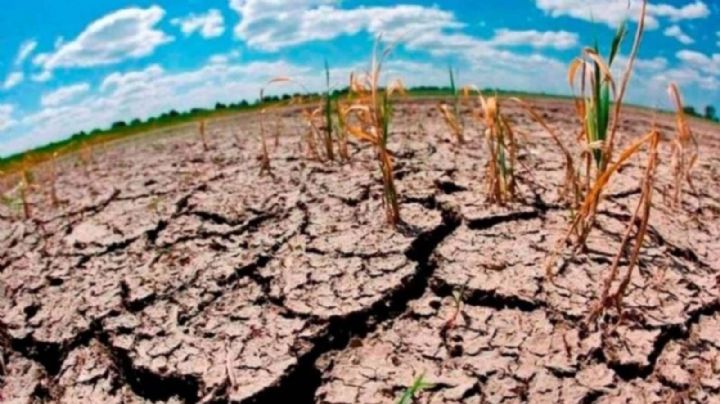 Paz en Medio Oriente y la crisis climática