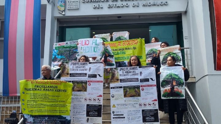 Vecinos acuden a Derechos Humanos para evitar tala de árboles en bulevar Fomento Minero