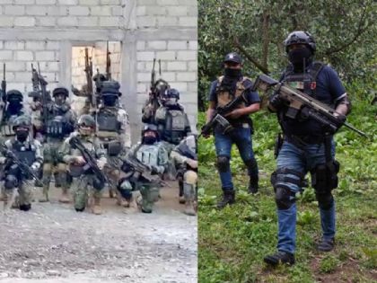 CJNG y Cártel de Sinaloa son la prioridad número uno de la DEA, afirma Cole