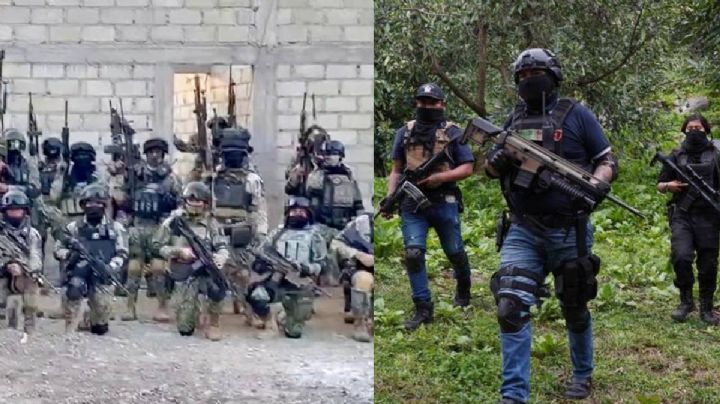 CJNG y Cártel de Sinaloa son la prioridad número uno de la DEA, afirma su director Terry Cole