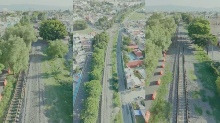 Talarán más de 400 árboles para que puedan construir el tren de pasajeros en Celaya