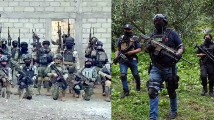 CJNG and Sinaloa Cartel Are DEA’s Top Priority, Says Director Terry Cole