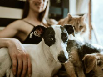 Tu mascota también cuida de ti: la ciencia explica cómo perros y gatos influyen en la salud