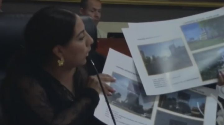 Enrique Avilés y Alejandra pagaron con recursos públicos espectaculares de Allan León: regidora