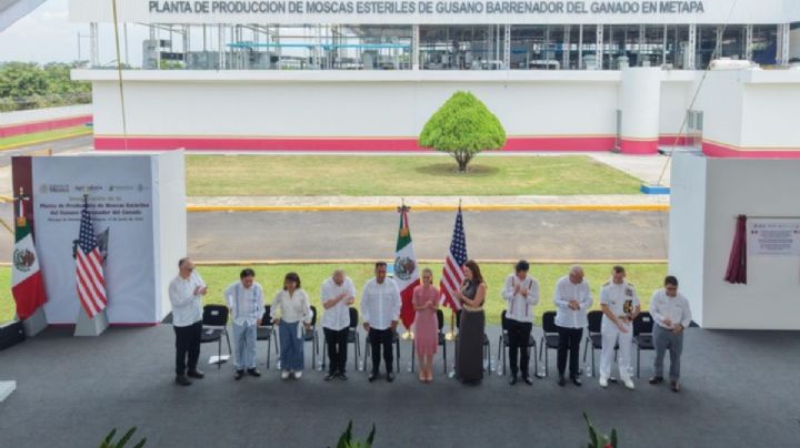 Sheinbaum inaugura planta contra el gusano barrenador; producirá 100 millones de moscas por semana