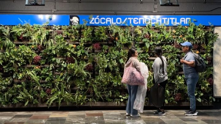 Muros verdes de ocho estaciones de línea 2 del metro de CDMX costaron 6 mil pesos