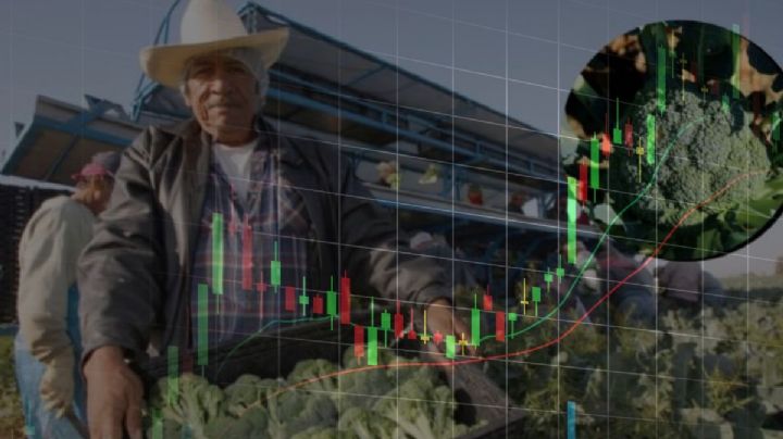 La inversión que México necesita no viene de fuera