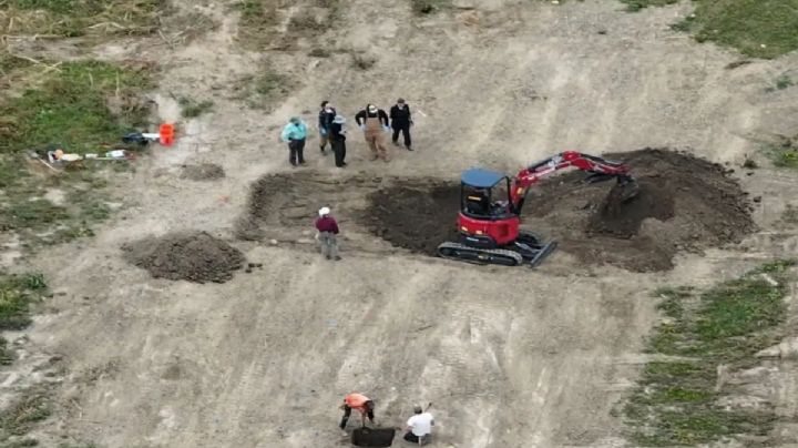 Hallan 117 perros muertos en un refugio de California; varios tenían heridas de bala