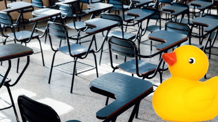 ¿Cómo saber si una escuela es “patito”?, antes de inscribirse así puedes revisar