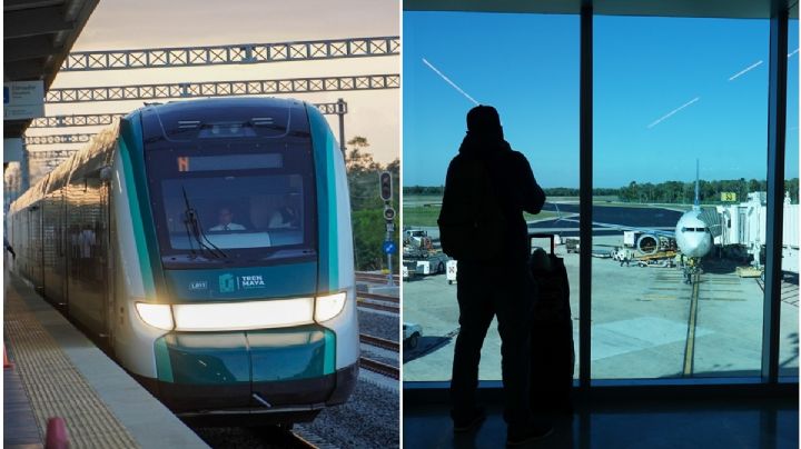 Semarnat aprueba libramiento del Tren Maya en Cancún; obra implicará talar 68.5 hectáreas de selva