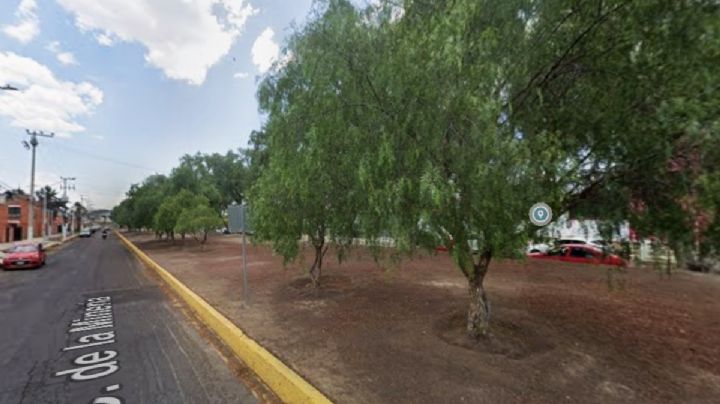 Confirma alcalde de Pachuca la tala de cuatro árboles en Fomento Minero