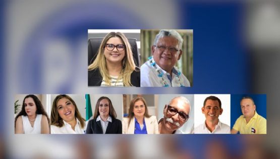 Las y los virtuales integrantes del nuevo Comité Estatal del PAN en Veracruz