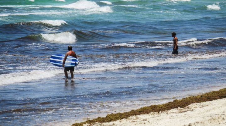 En Mahahual debe de haber turismo, no puede ser Área Natural Protegida: Semarnat