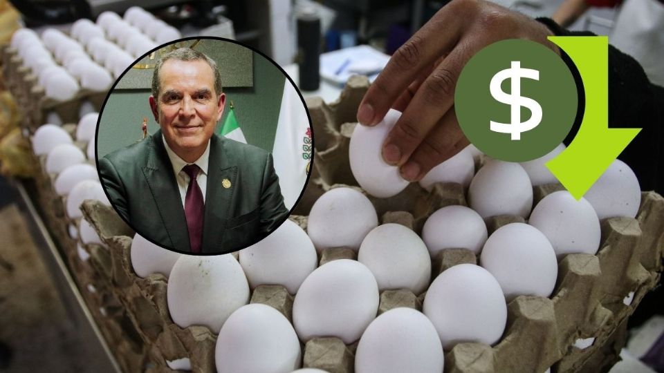 ¿Hay huevo chino en Veracruz? Esto respondió el titular de la Sedecop