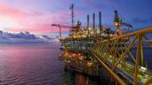 Foto ilustrativa de la nota titulada: Pemex invertirá 93 mil millones de pesos para reactivar la petroquímica y producción de fertilizante