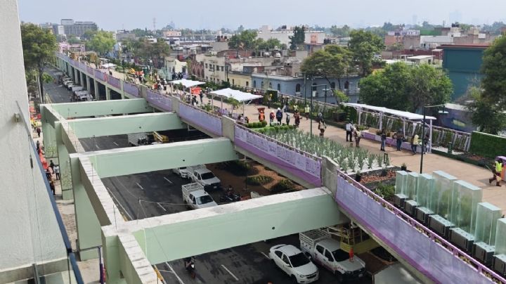 Calzada elevada en Tlalpan: trabajos a marchas forzadas en pasos a desnivel y elevadores