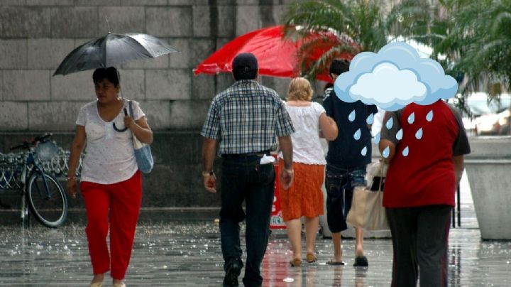 ¿Cómo estará el clima en Xalapa hoy sábado 6 de junio?
