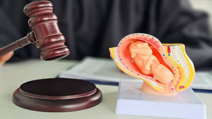 Bélgica estudia ampliar el acceso al aborto legal hasta las 14 semanas de gestación